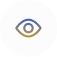 Our Vision